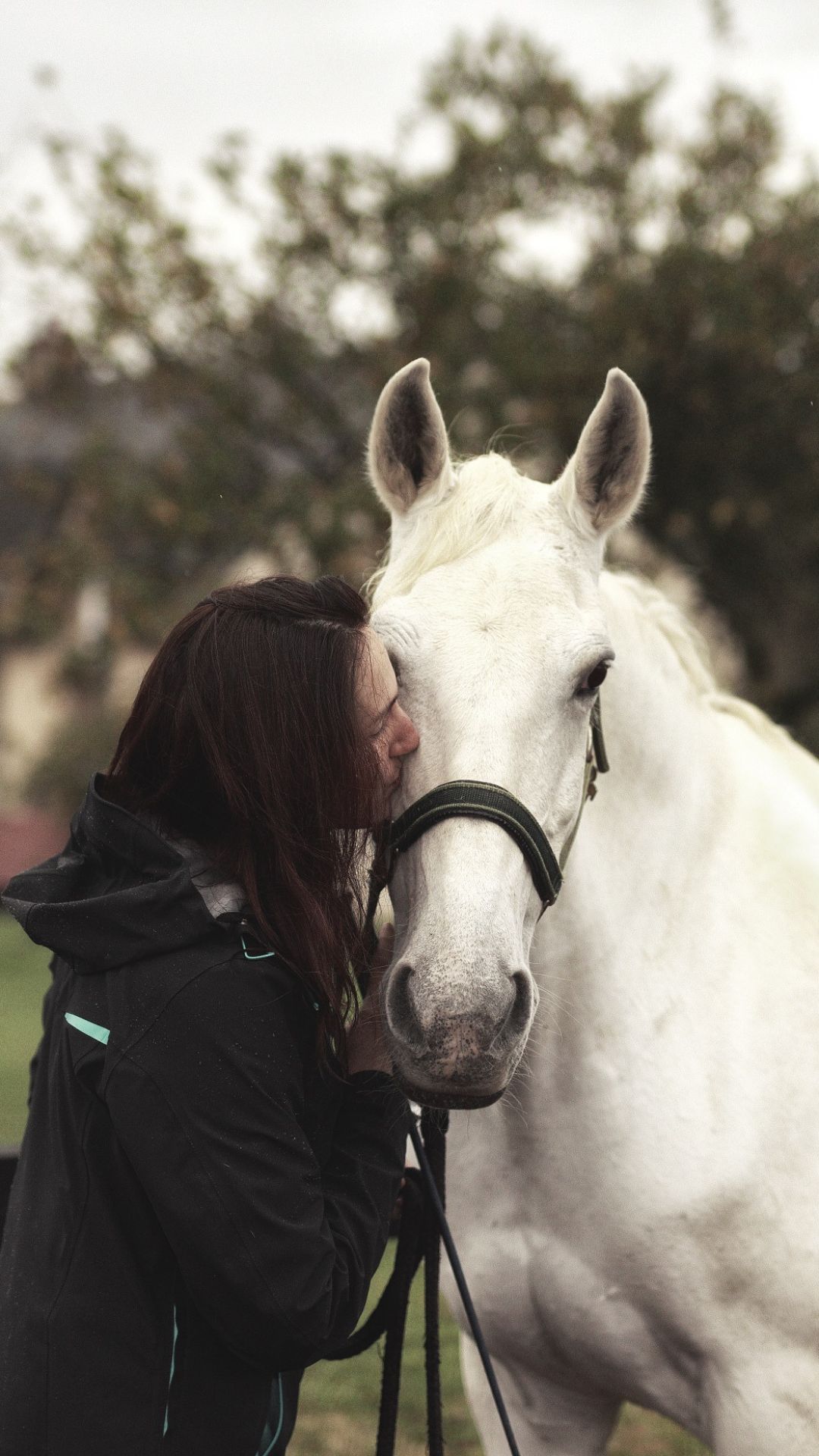 Diane Bourin en train de faire un bisou sur le chanfrein d'un cheval blanc de race Lusitanien. Les lumières sont assez froides, nous sommes en automne.