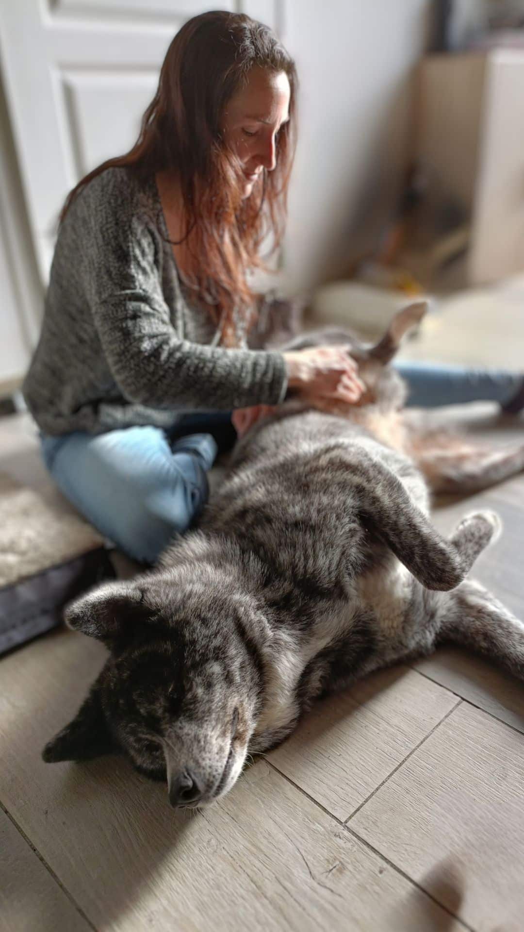 Diane Bourin, magnétiseur chien, en séance avec une femelle Akita Inu