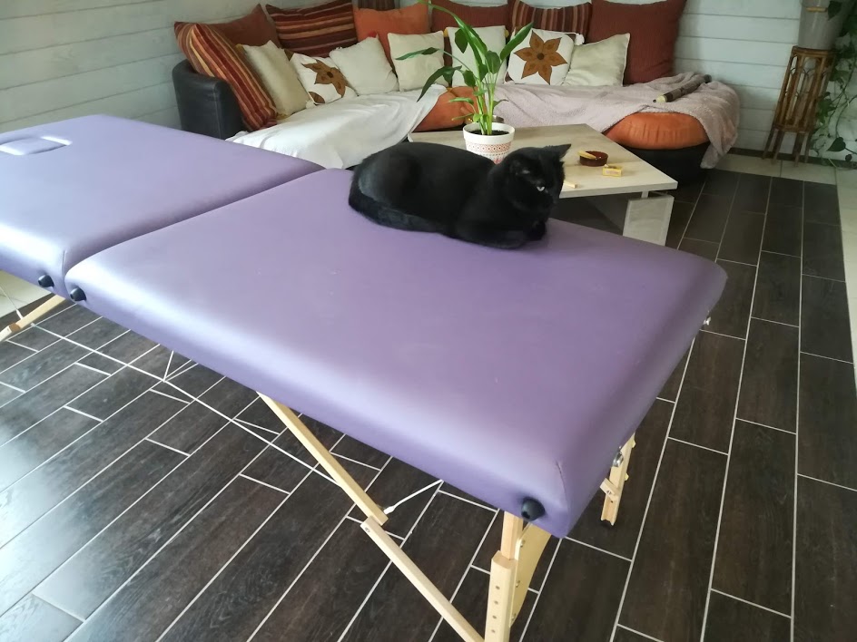 Chat noir couché sur une table de soin violette.